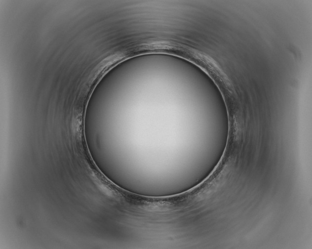 X0000113361225200909291023