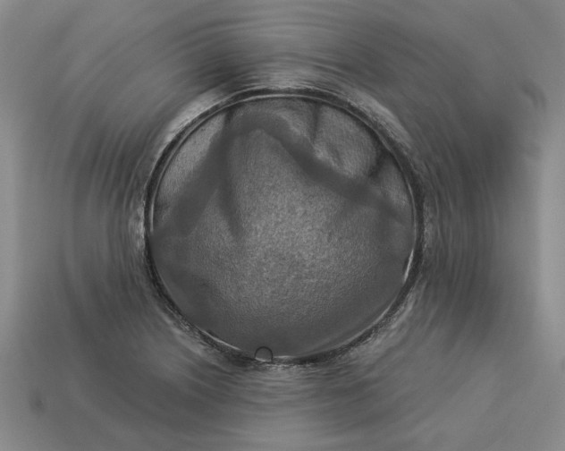 X0000113361226200909291023