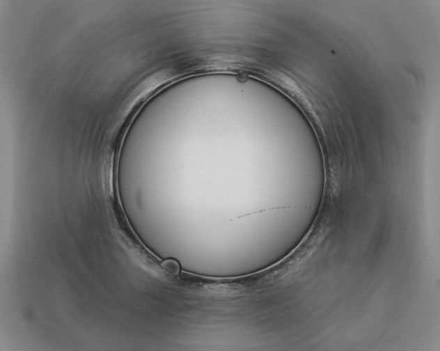 X0000113361227200909291023