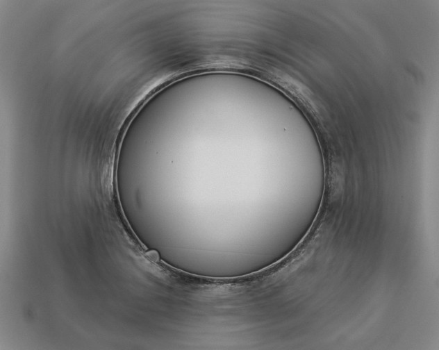 X0000113361228200909291023