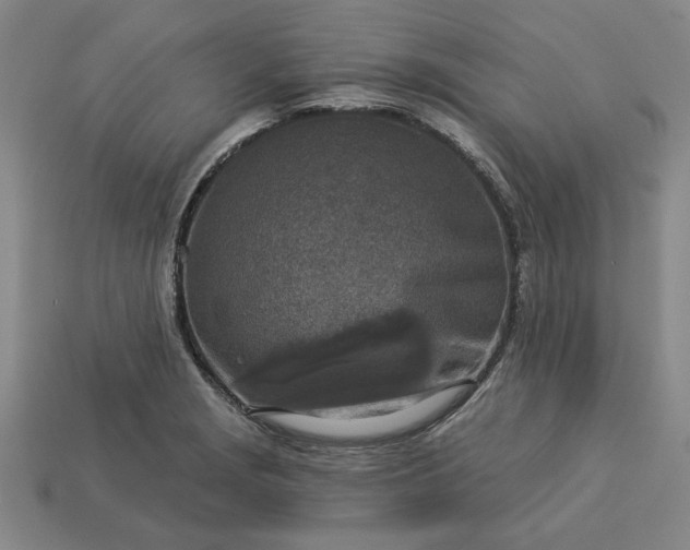 X0000113361229200909291023