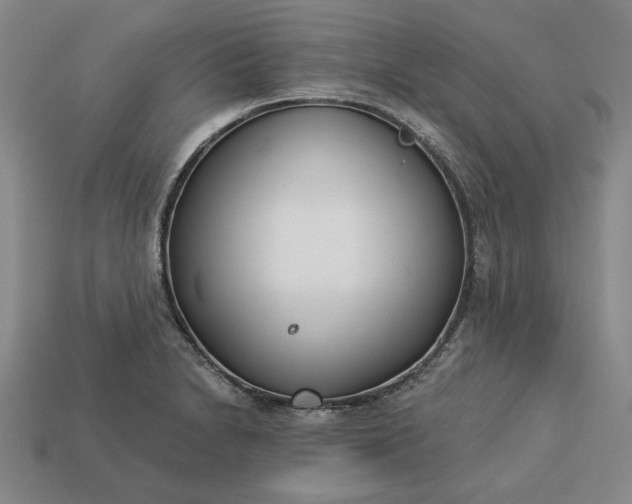 X0000113361230200909291023