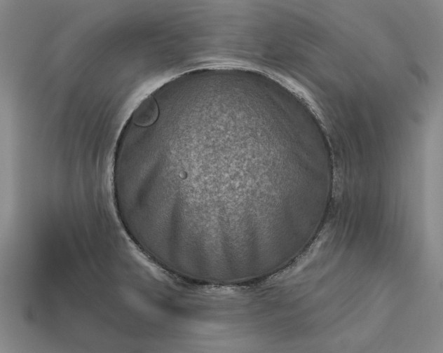 X0000113361231200909291023