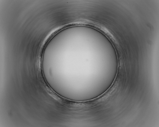 X0000113361232200909291023