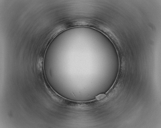 X0000113361233200909291023