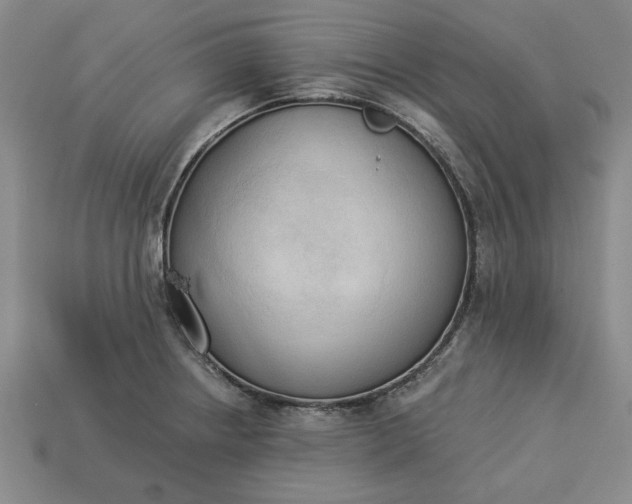 X0000113361234200909291023