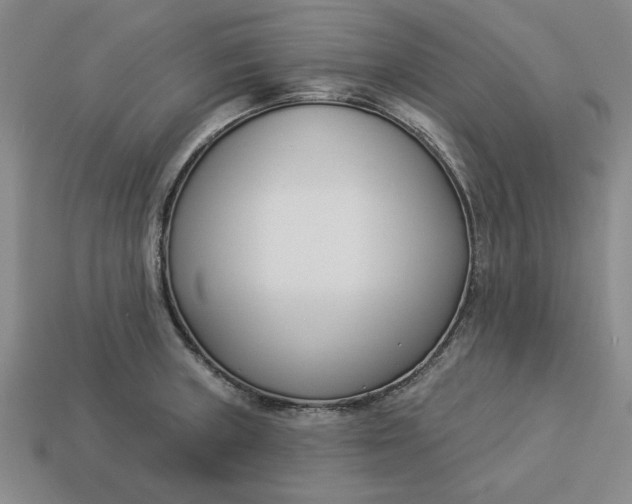 X0000113361235200909291023