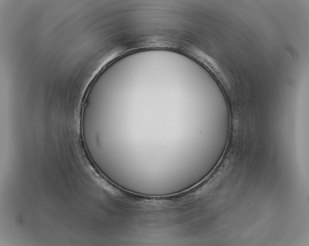 X0000113361236200909291023