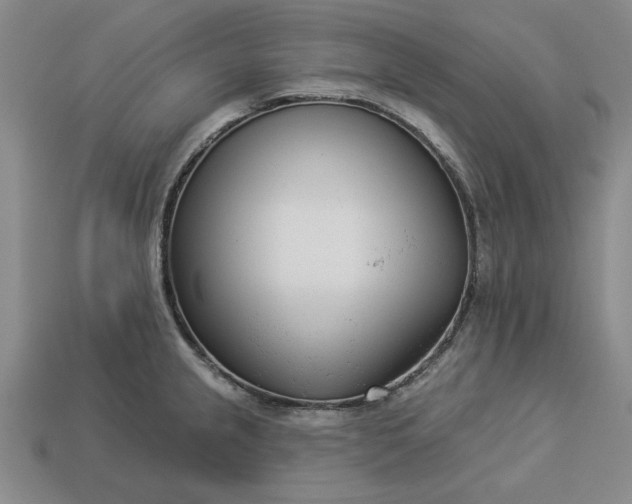 X0000113361237200909291023