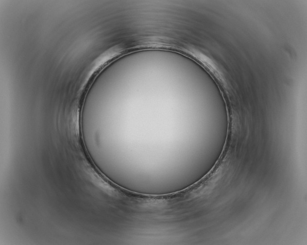 X0000113361238200909291023