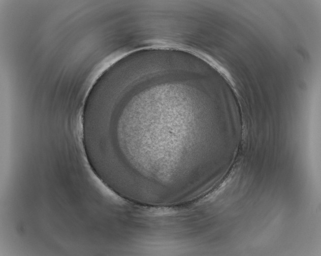 X0000113361239200909291023