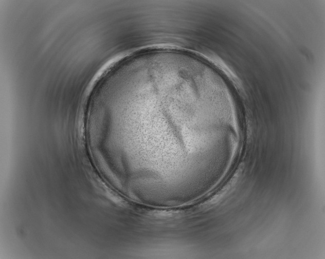 X0000113361240200909291023