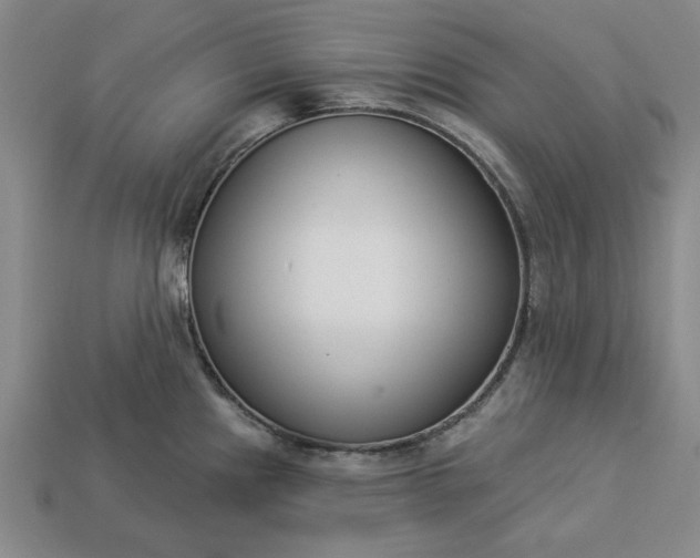 X0000113361241200909291023