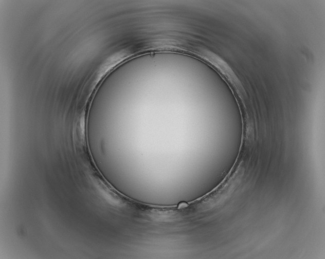 X0000113361242200909291023