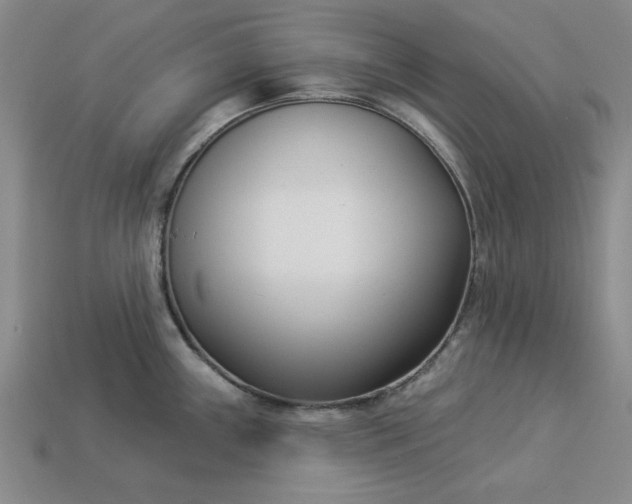 X0000113361243200909291023