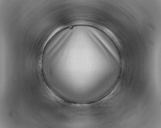 X0000113361244200909291024