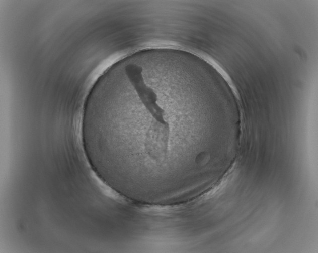 X0000113361245200909291024