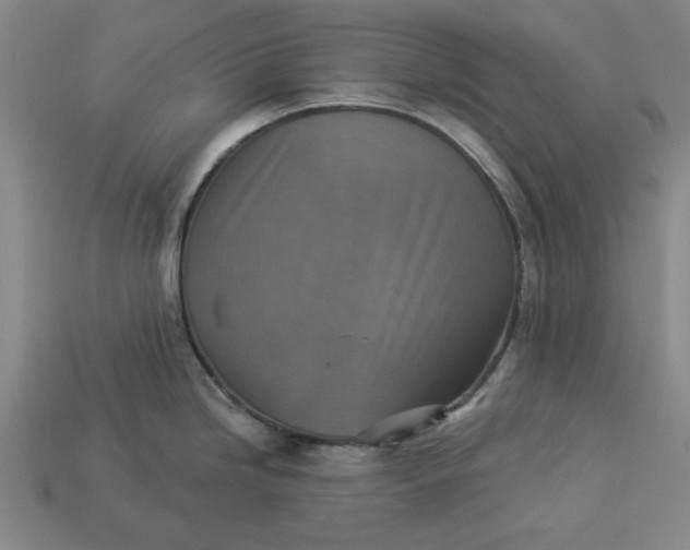 X0000113361246200909291024