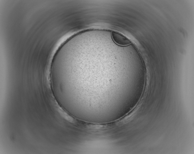 X0000113361248200909291024