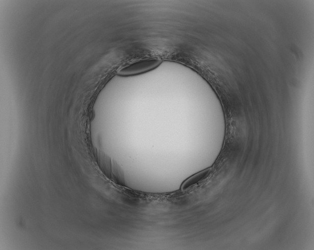 X0000113361249200909291023