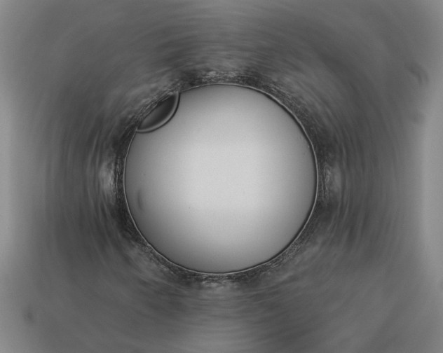 X0000113361250200909291023