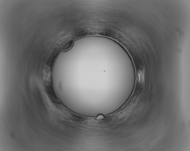 X0000113361251200909291023