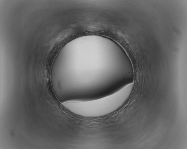 X0000113361253200909291023