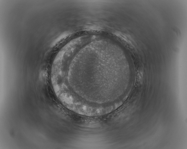 X0000113361254200909291023