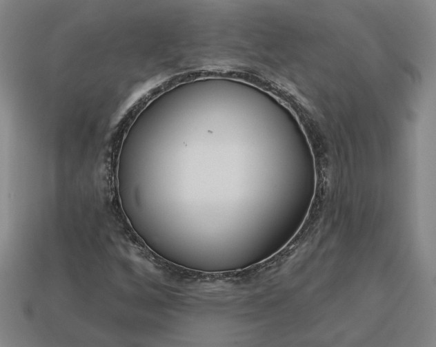 X0000113361256200909291023