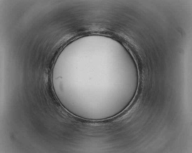 X0000113361257200909291023