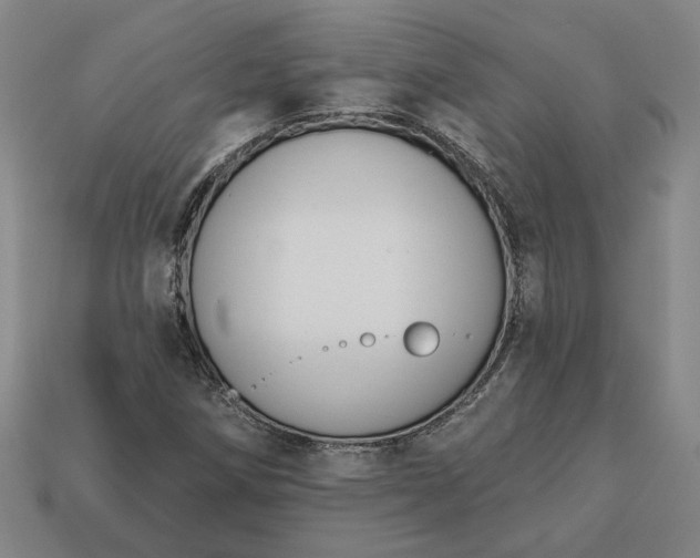 X0000113361258200909291023