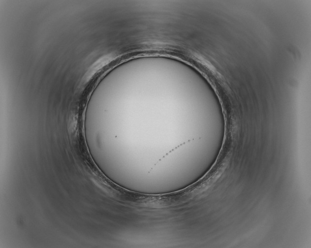 X0000113361259200909291023