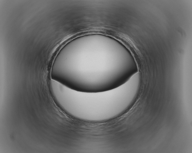 X0000113361260200909291023