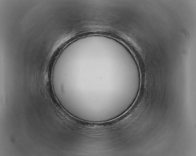 X0000113361261200909291023