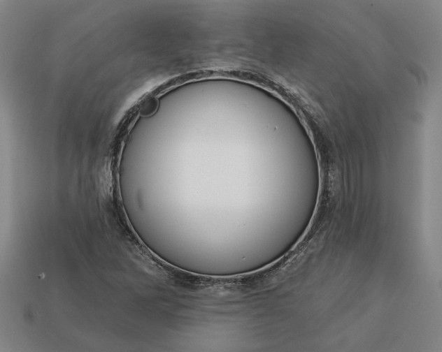 X0000113361262200909291023