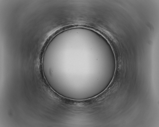 X0000113361264200909291023