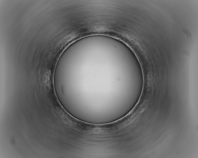 X0000113361265200909291023