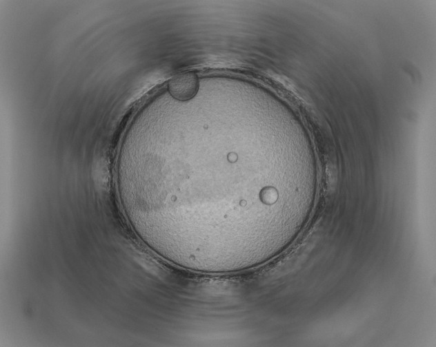 X0000113361266200909291023