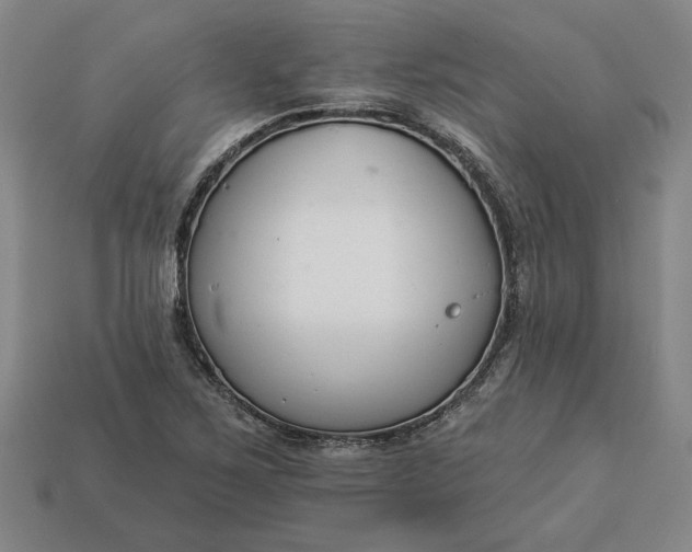 X0000113361267200909291023