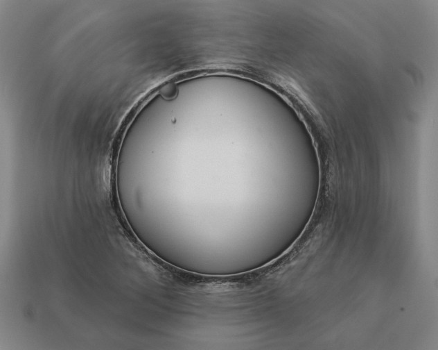 X0000113361268200909291023