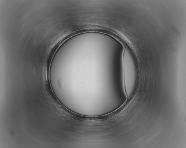 X0000113361269200909291023