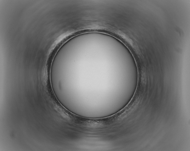 X0000113361270200909291023