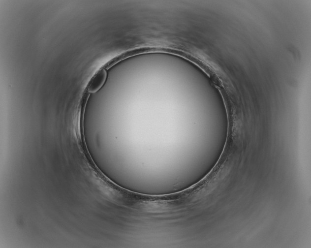 X0000113361272200909291022