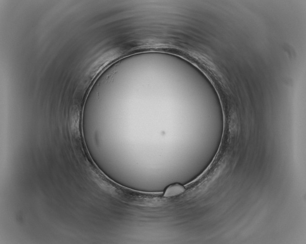 X0000113361273200909291022