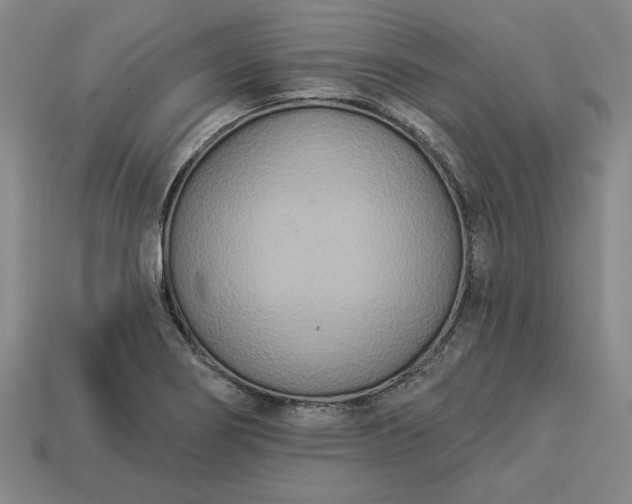 X0000113361274200909291022