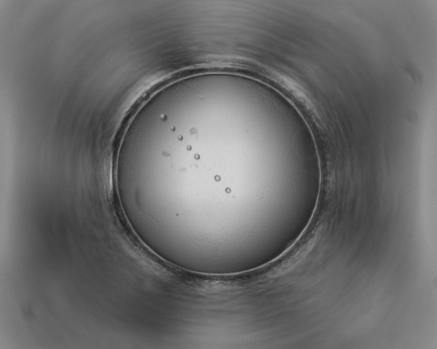 X0000113361275200909291022