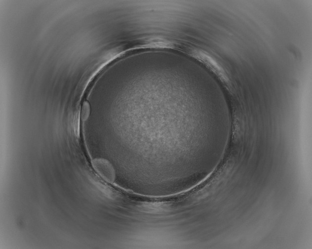 X0000113361276200909291022