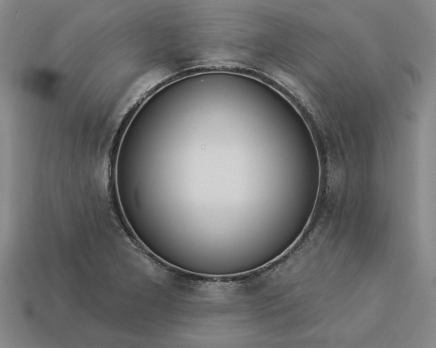 X0000113361277200909291022