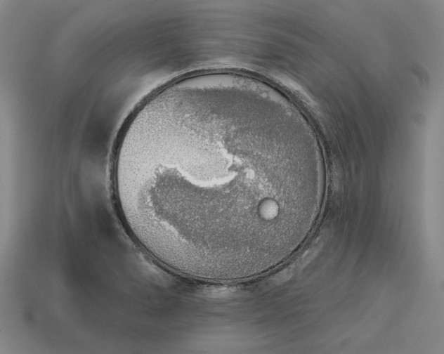 X0000113361278200909291022