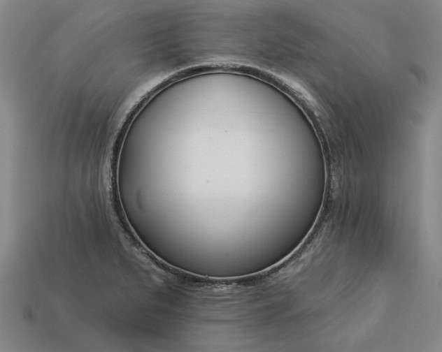 X0000113361279200909291022